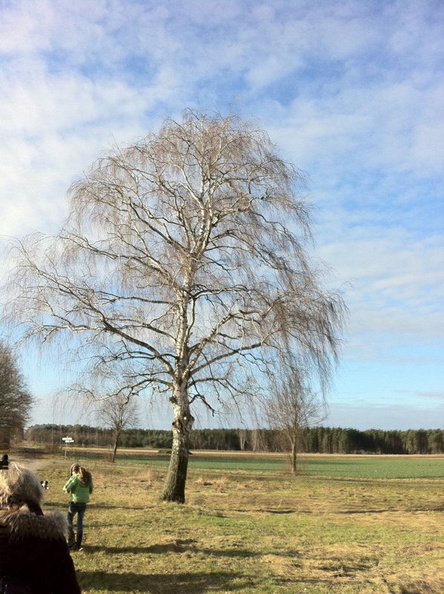 2011 01 16 Gru  nkohlwanderung zur Kla  ranlage Lachendorf 008